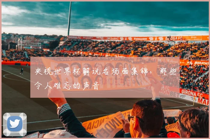 央视世界杯解说名场面集锦，那些令人难忘的声音