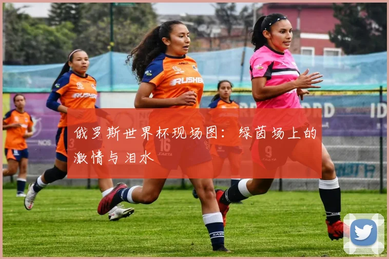 俄罗斯世界杯现场图:绿茵场上的激情与泪水