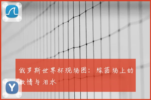 俄罗斯世界杯现场图:绿茵场上的激情与泪水