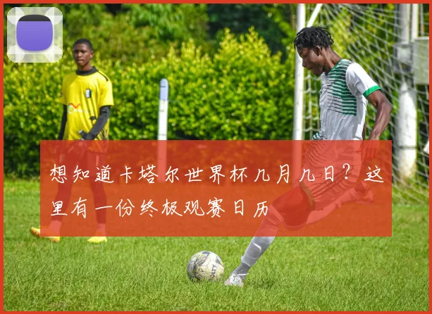 想知道卡塔尔世界杯几月几日?这里有一份终极观赛日历
