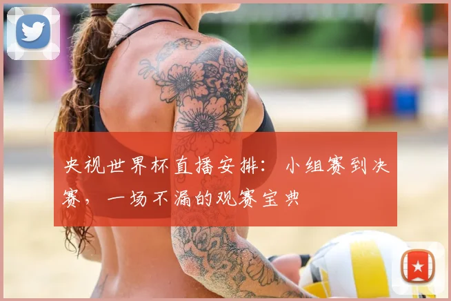 央视世界杯直播安排：小组赛到决赛，一场不漏的观赛宝典