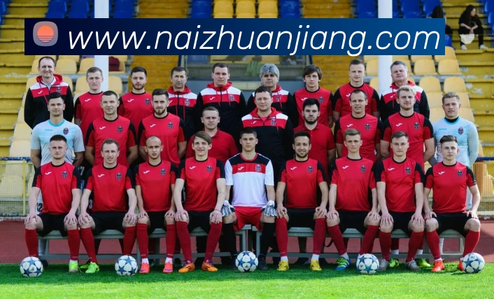 App Interface Preview